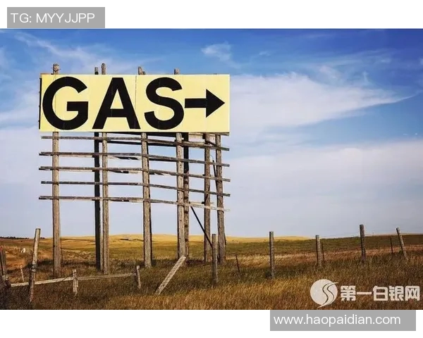 电竞新闻数据分析在液化天然气行业中的应用与意识提升探讨